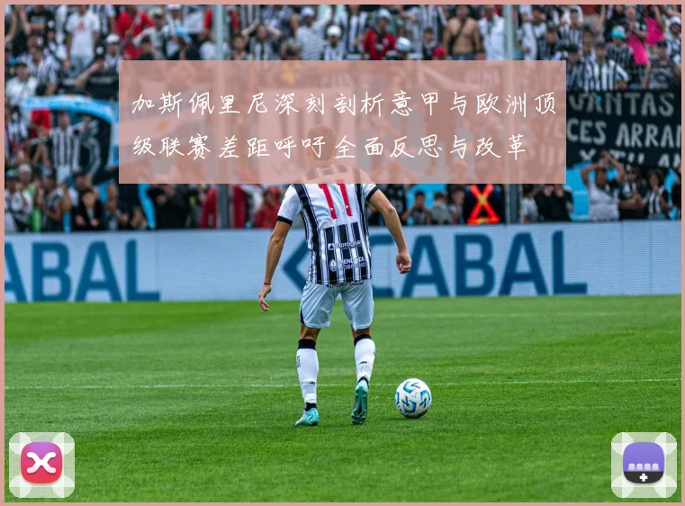 加斯佩里尼深刻剖析意甲与欧洲顶级联赛差距呼吁全面反思与改革