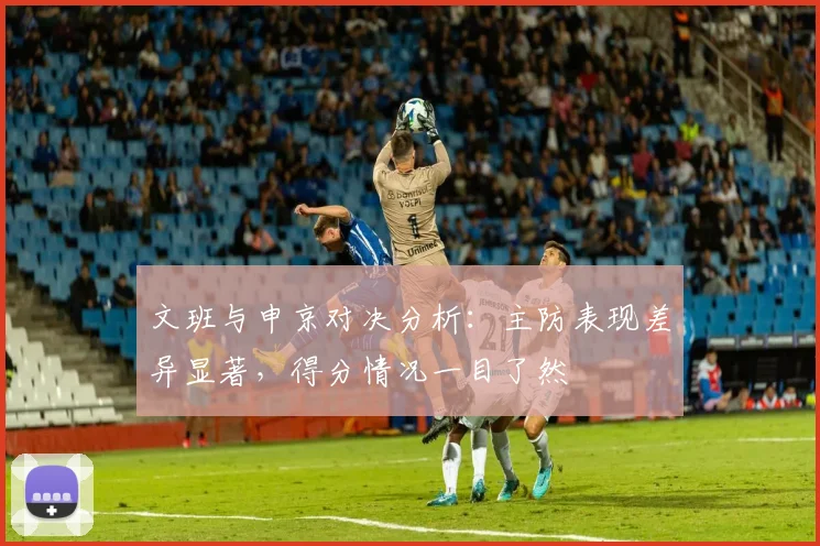 文班与申京对决分析：主防表现差异显著，得分情况一目了然
