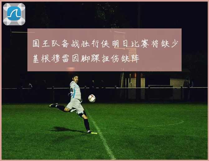 国王队备战独行侠明日比赛将缺少基根穆雷因脚踝扭伤缺阵